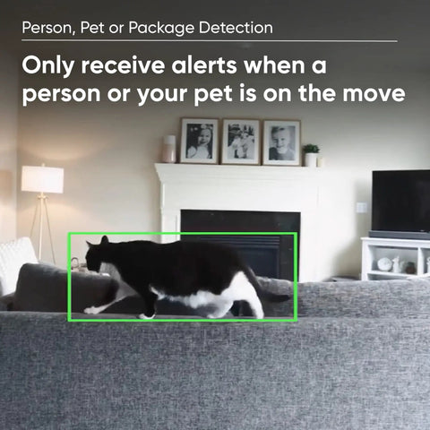 Indoor And Outdoor Plug In Smart Security Camera With AI Motion Alerts detecting pet movement indoors.