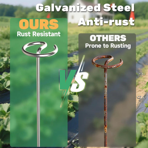 Comparison of rust-resistant and rust-prone 12 Inch 8 Gauge Circle Top Landscape Fabric Staples Galvanized Steel Garden Pins.