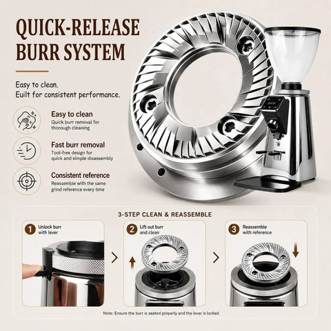 Quick-release burr system for No Hassle Electric Coffee Bean Grinder With Adjustable Electronic Timer And Roomy 750 Gram Hopper Silver.