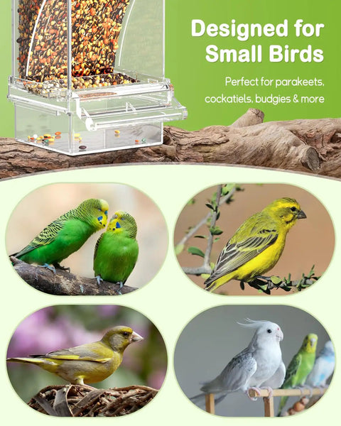Clear Acrylic Automatic Bird Cage Feeder For Parakeets Budgies And Small Birds, 3.1x2.8x7.3 inch, showing seed in clear box.