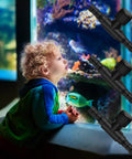 Child looking at aquarium with three Aquarium Air Control Valve 30 Pack 2 Way T Shaped Flow Regulators displayed.
