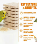Safe Untreated Ultra Soft Balsa Wood Foraging Toy With Canyon Groove Design For Small Parrots next to green parrot on white background