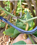 Durable Weeding And Mowing Tool Set Ergonomic Rustproof Lightweight Sharp For Effortless Gardening One Handed Use