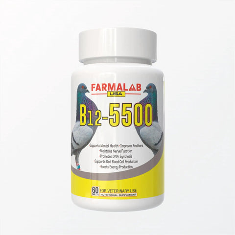 Vitamin B12 5500 Mcg With Iron Pigeon Supplement bottle, 60 tablets for health and performance.