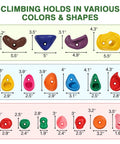 Climbing holds in various shapes and colors, part of 32 Piece Rock Climbing Holds Set For Kids And Adults with sizes shown.