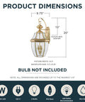 Product dimensions of Newbury 20 Inch Outdoor Wall Lantern Two Light Polished Brass With Clear Beveled Glass E12 Base Classic French Country Style