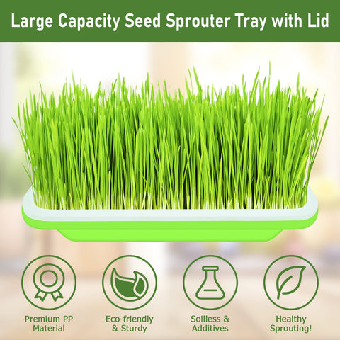 10 Pack Green Seed Sprouter Trays For No Soil Needed Germination No Fuss Water Only Setup BPA Free Nursery Trays with sprouts