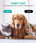 1080P HD Indoor Home Security Camera with 2.4GHz WiFi Smart AI Detection showing cat and dog clarity comparison