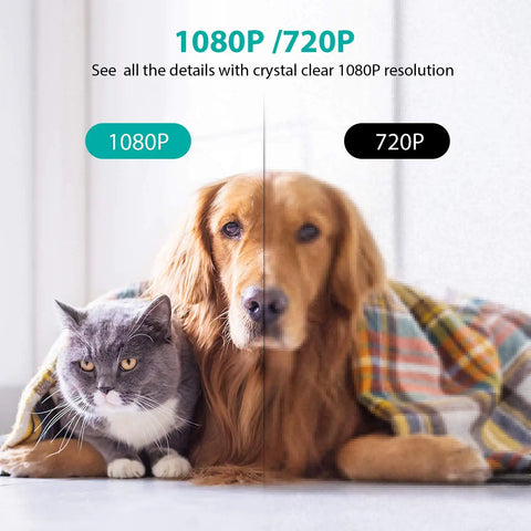 1080P HD Indoor Home Security Camera with 2.4GHz WiFi Smart AI Detection showing cat and dog clarity comparison