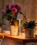 15.4 Inch LED Cordless Table Lamp With 3 Color Dimmable Light on a windowsill beside potted plants, illuminated at night.
