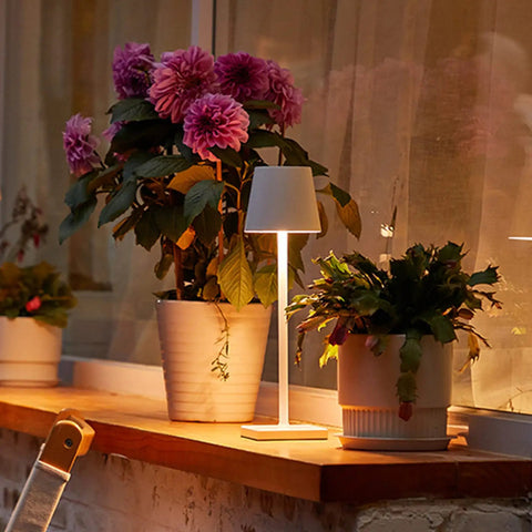 15.4 Inch LED Cordless Table Lamp With 3 Color Dimmable Light on a windowsill beside potted plants, illuminated at night.