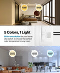 Room showcasing Six Pack Retrofit LED Recessed Lighting 4 Inch Kit, 3000K Warm White, with different color temperatures.