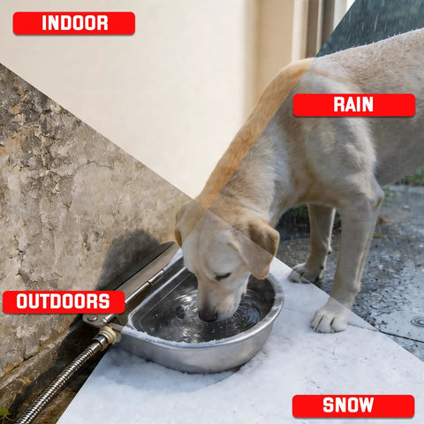 Built Tough Automatic Water Bowl Made From Pure 304 Stainless Steel For Big Pups And Barn Animals Comes With Reliable Float Valve forty inch hose and zero stress install, dog drinking indoors and outdoors.
