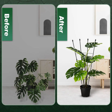 Before and after using Outdoor And Indoor Garden Trellis With 47 Inch Obelisk And Tomato Cage Two Easy Setup Options Rustproof Plant Support