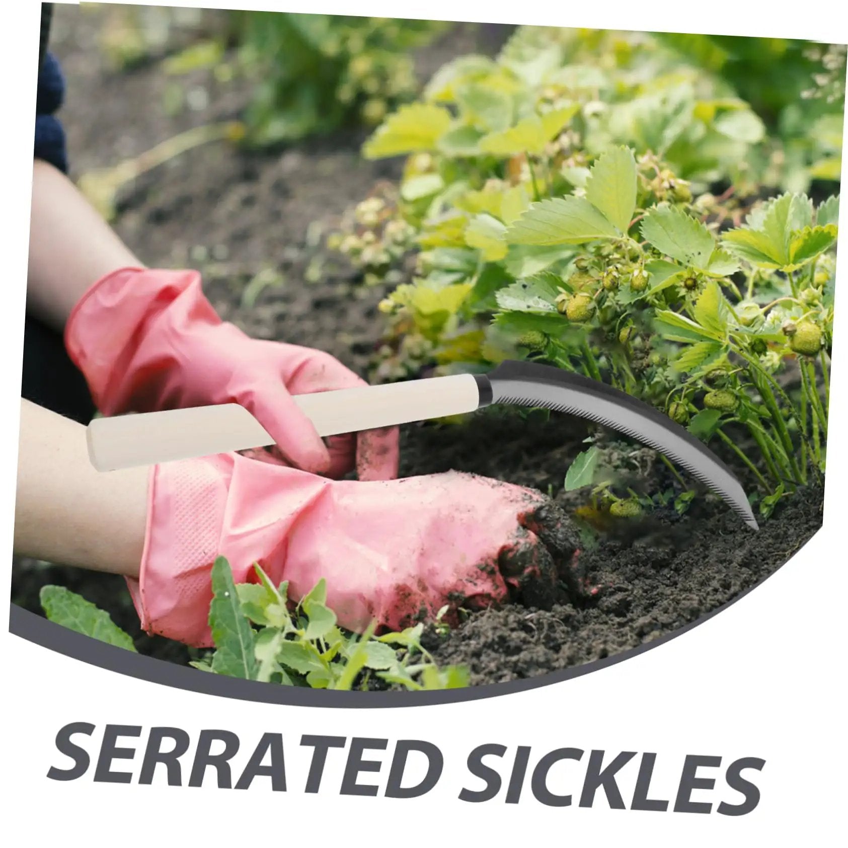 VXB Bearings Serrated Weeding Tool - Thumbnail 3