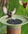 Solar Fountain Bird Bath Bubbler For Outdoor Garden Made Of Metal Water Feature For Patio Decor Sun Powered No Battery Needed Easy Setup Creates Sparkling Water Sprays That Attract Birds in use with birds.