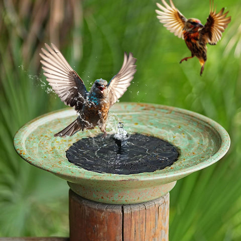 Solar Fountain Bird Bath Bubbler For Outdoor Garden Made Of Metal Water Feature For Patio Decor Sun Powered No Battery Needed Easy Setup Creates Sparkling Water Sprays That Attract Birds in use with birds.