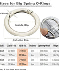 10 Pcs Big Round Carabiner Clips, 2 Inch, 50 Mm, Metal Trigger Snap Hooks With O Rings For DIY Charms, Keychains, Bags, Purses, Crafts Making, Silver Large
