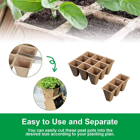 Biodegradable Seed Starter Trays With 60 Cells In 5 Pack For Seedlings showing easy separation for planting.