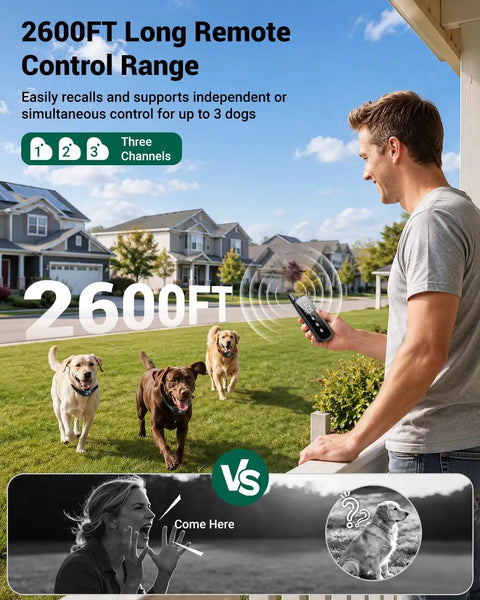Hella Tough Long Range Dog Training Collar With 2600 Foot Waterproof Remote showing three dogs running towards the owner outdoors.