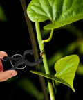 Durable Garden Plant Clips For Climbing Vines And Tomatoes Easy Trellis Support Clips For All Skill Levels No Fuss Versatile Plant Ties For Training Staking And Securing Tomato Vines And Garden Vines black clip on vine stem