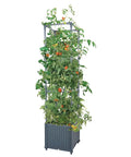 Raised Garden Bed Planter Boxes With Trellis For Climbing Vegetables And Tomatoes And Tomato Cage, Heavy Duty Plant Support