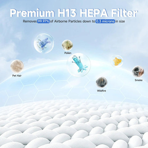 Diagram showing airborne particles filtered by Replacement Filter Set for HSP002 Air Cleaner Purifier 2.0, including pet hair, pollen, smoke, and wildfire particles.