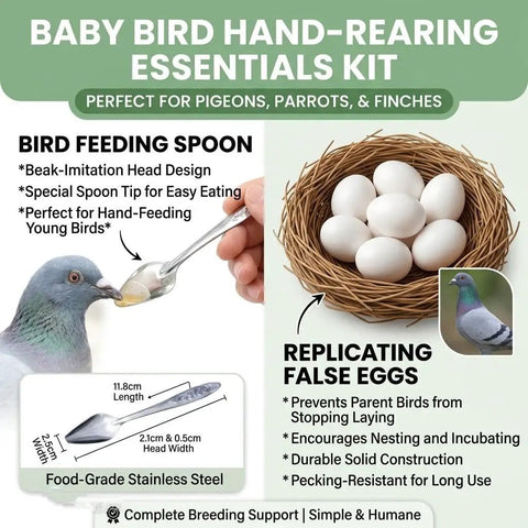 All In One Pigeon Care Starter Kit With Perches Leg Bands Dummy Eggs Waterer And Feeder infographic showing spoon and eggs