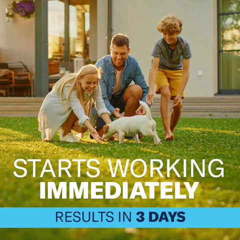 Family playing with puppy on lawn, highlighting Fire Ant Killer Dust That Kills The Queen And Destroys The Mounds For Outdoor Use With Low Odor