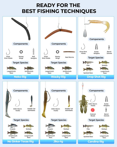 Image showing various fishing rigs and their components, including Neko Rig, Wacky Rig, Drop Shot Rig, with target species details.