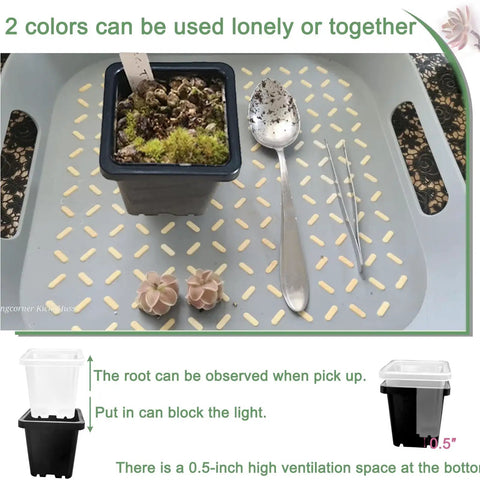 Two Inch Square Seedling Pots Pack Of 50 Dual Color Clear And Black With Drainage Holes For Seed Germination Root View