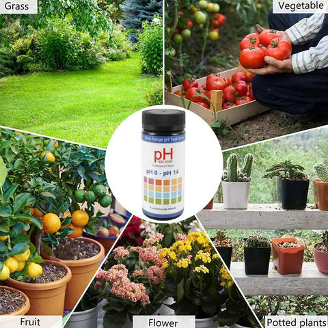 Easy To Use 0 To 14 pH Soil Test Strips Kit For Indoor And Outdoor Gardens with images of vegetables, fruits, flowers, and potted plants