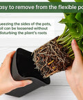 Hands removing plant from 80 Pcs 4 Inch Nursery Pots With Drainage Holes Plastic Seed Starter Pots for Seedlings Transplants