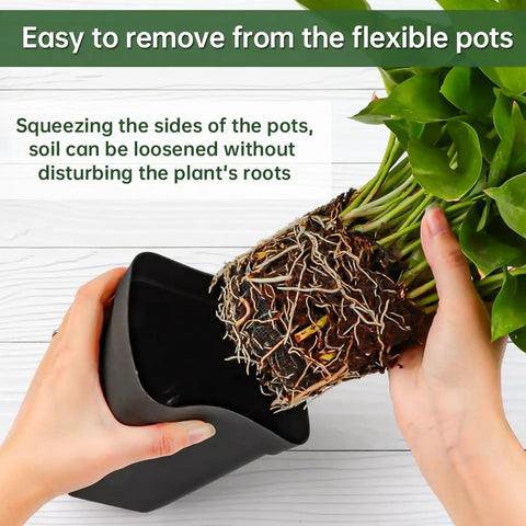 Hands removing plant from 80 Pcs 4 Inch Nursery Pots With Drainage Holes Plastic Seed Starter Pots for Seedlings Transplants