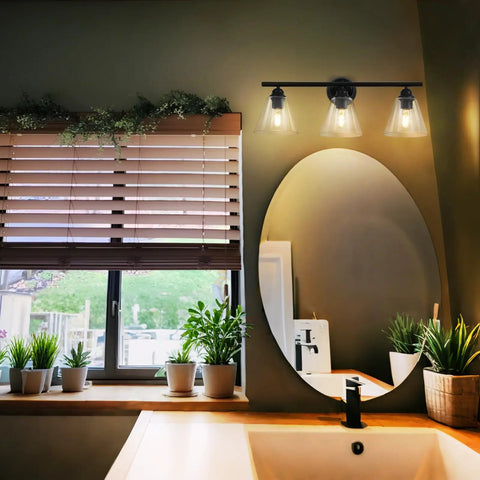 Farmhouse Modern Vanity Light Fixture Matte Black Rustic Wall Sconce illuminating bathroom with mirror and plants
