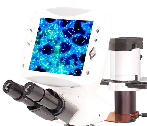 Digital LCD Inverted Epifluorescence Microscope With 9 Inch HD Display, Built-In 5MP Camera, GFP And RFP Fluorescence, Optional UV Excitation, HBO Mercury Illumination, And 4x, 10x Ph, 20x Ph, 40x Ph Objectives Plus Dozens Of Lenses; white lab microscope with screen