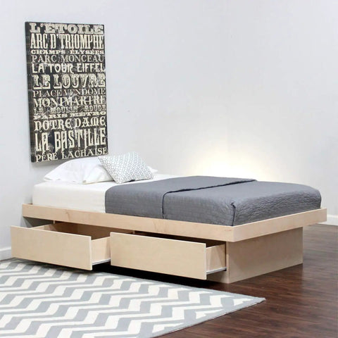 Modern bedroom with a bed featuring built-in storage drawers, gray bedding, and a decorative wall art. Wooden flooring and a chevron rug.