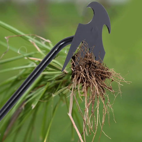 Garden Weed Pulling Tool With Four Teeth Workhorse Weeder For Easy Weeding And Soil Loosening Made From Manganese Steel Ergonomic Hand Tool For Vegetable Gardens Planting Beds Black Finish Two Pack Sixteen Inches, black weed puller lifting roots