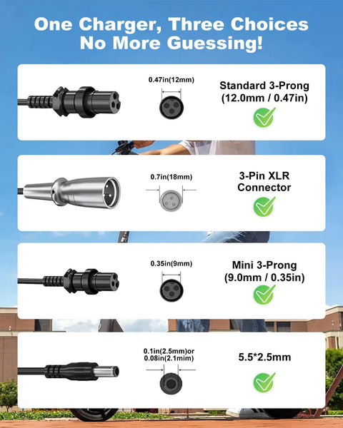 Universal 54.6V 2A Ebike Charger Fast Charging For Lectric XP 3.0 2.0 Heybike Mars Mars 2.0 Race Max Sola Ecotric City Beach Evercross H5 H7 Electric Bikes On The Go