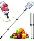 Adjustable Fruit Picker Tool With Telescoping Pole And Basket No Ladder Needed Reaches Up To 20 Feet Lightweight Stainless Steel Connecting Pole Foam Pad And Dual Clamps For Apples Oranges Pears And Other Tree Fruit, shown disassembled with colorful fruits, extension poles, and foam pad.