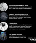 Infographic explaining features of Bancroft 2.5 GPM Single Function Showerhead With Katalyst Air Induction Technology.