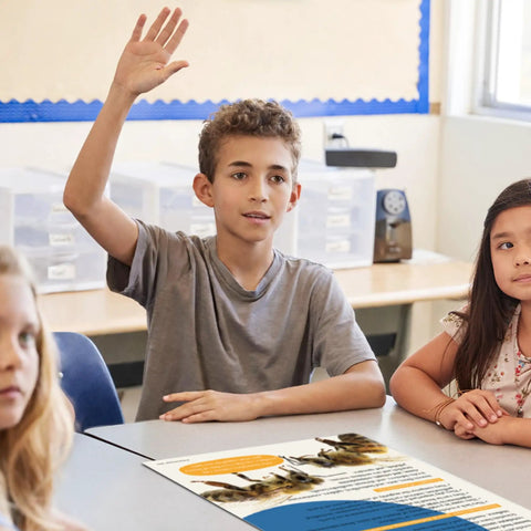 Student raising hand in classroom with poster from 7 Poster Animal Groups Set For Science Classroom Learning Mammals Birds Amphibians Invertebrates Reptiles Fish And Biological Kingdom Classification 12 By 18 Inches Made In USA Perfect K12 Kid Friendly Teacher Decor.