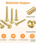Rock Solid Copper Wood Screws M5 X 20Mm Slotted Round Head Self Tapping Fasteners Built Tough For Heavy Duty DIY Woodworking Jobs And Quick Home Fixes 20 Piece Pack, showing copper finish and detailed threads.