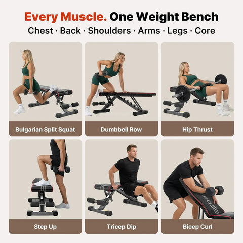 Heavy Duty Adjustable Weight Bench Built To Crush Sets And Lock Down Serious Stability For Dumbbell Press And Loaded Hip Thrusts With 827 Lb Steel Frame No Assembly Needed