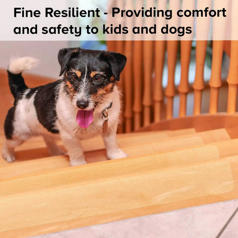 Small dog on stairs with Clear Non Slip Tape 4 Inch By 30 Feet, Grippy Anti Slip Adhesive For Tubs, Boats, Stairs