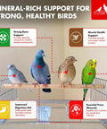 Four birds on perch with text highlighting benefits of Pigeon Grit For Strong Muscles And Bones, Nutritious Bird Food For Grit Eating Birds, Supports Digestion, Mineral Rich Formula, One And A Half Pounds Bag Ideal For Everyday Feeding, Keeps Birds Pumped And Healthy