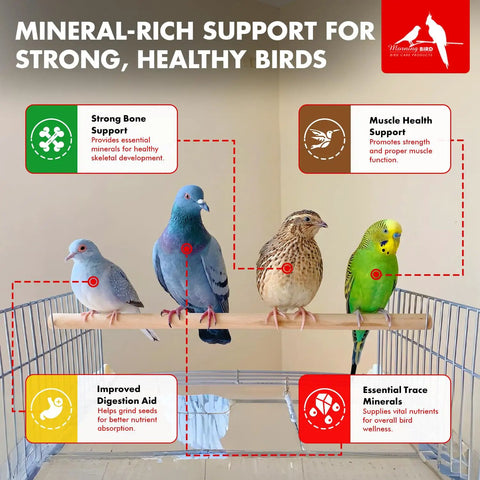 Four birds on perch with text highlighting benefits of Pigeon Grit For Strong Muscles And Bones, Nutritious Bird Food For Grit Eating Birds, Supports Digestion, Mineral Rich Formula, One And A Half Pounds Bag Ideal For Everyday Feeding, Keeps Birds Pumped And Healthy