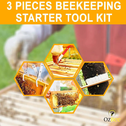 Go To Beekeeping Tool Set With Stainless Steel J Hook Frame Lifter Scraper And Frame Grip Holder Plus Wooden Handle Beekeeping Brush