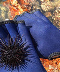 Webbed Swim Gloves For Water Training Neoprene Paddling Gloves With Adjustable Velcro Wrist Resistance Boost near sea urchin