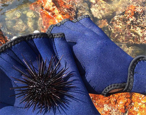 Webbed Swim Gloves For Water Training Neoprene Paddling Gloves With Adjustable Velcro Wrist Resistance Boost near sea urchin